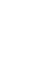 Logo Footer